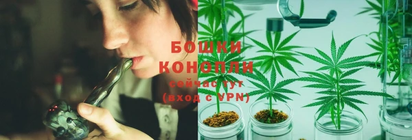 прущие грибы Аша