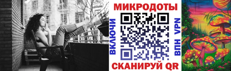 OMG   Данков  Галлюциногенные грибы Magic Shrooms 