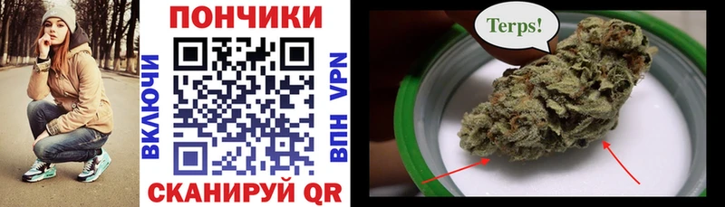 Бошки марихуана ГИДРОПОН купить наркотик Данков